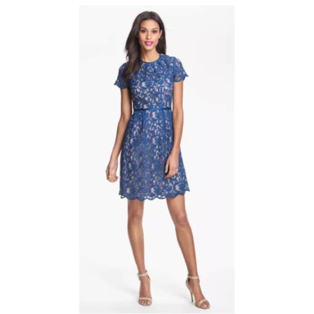 Adrianna Papell Scalloped Lace Dress Blue Nude Size 14 Cocktail Short Sleeve